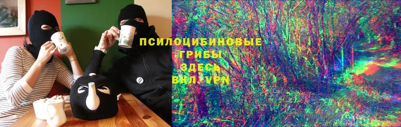 кракен ONION  Велиж  Псилоцибиновые грибы Psilocybe 